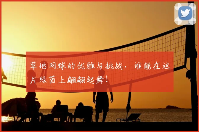 草地网球的优雅与挑战，谁能在这片绿茵上翩翩起舞！