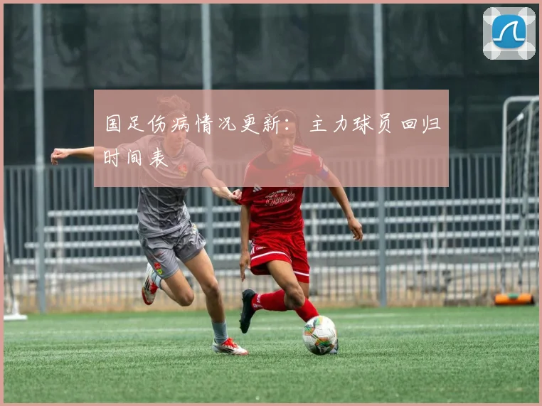 国足伤病情况更新：主力球员回归时间表